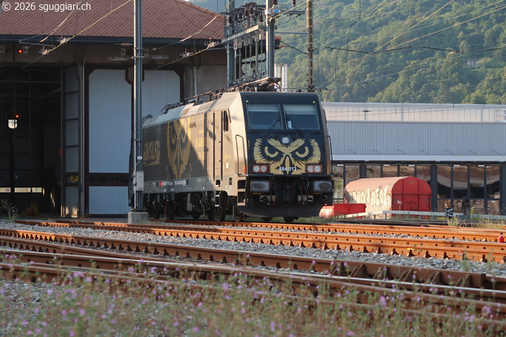 FFS Re 484 013-8 'VSLF'