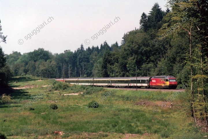 SBB Re 460 018-5 'Mobility'