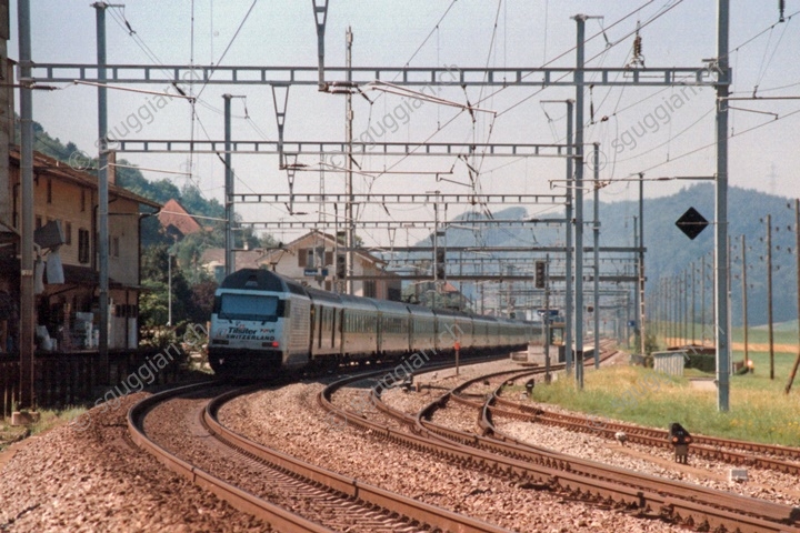 SBB Re 460 020-1 'Tilsiter'