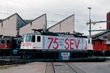 Re 4/4 II 11238 'SEV'