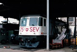 Re 4/4 II 11238 'SEV'