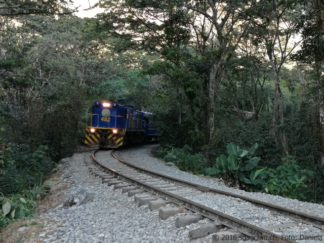 Peru Rail DL-535A 482