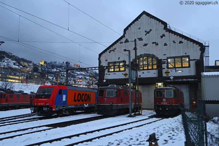 SBB (LOCON) Re 482 038-7, Re 4/4 II 11139 e Re 420 244-6