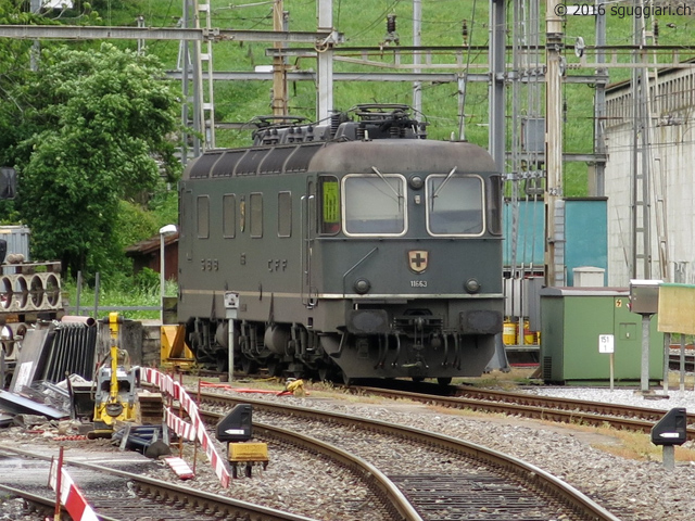 SBB Re 6/6 11663 'Eglisau'