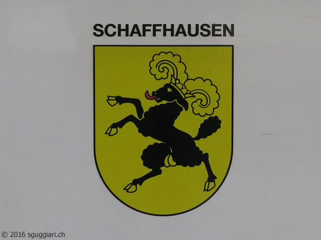 SBB RABe 511 017 'Schaffhausen'